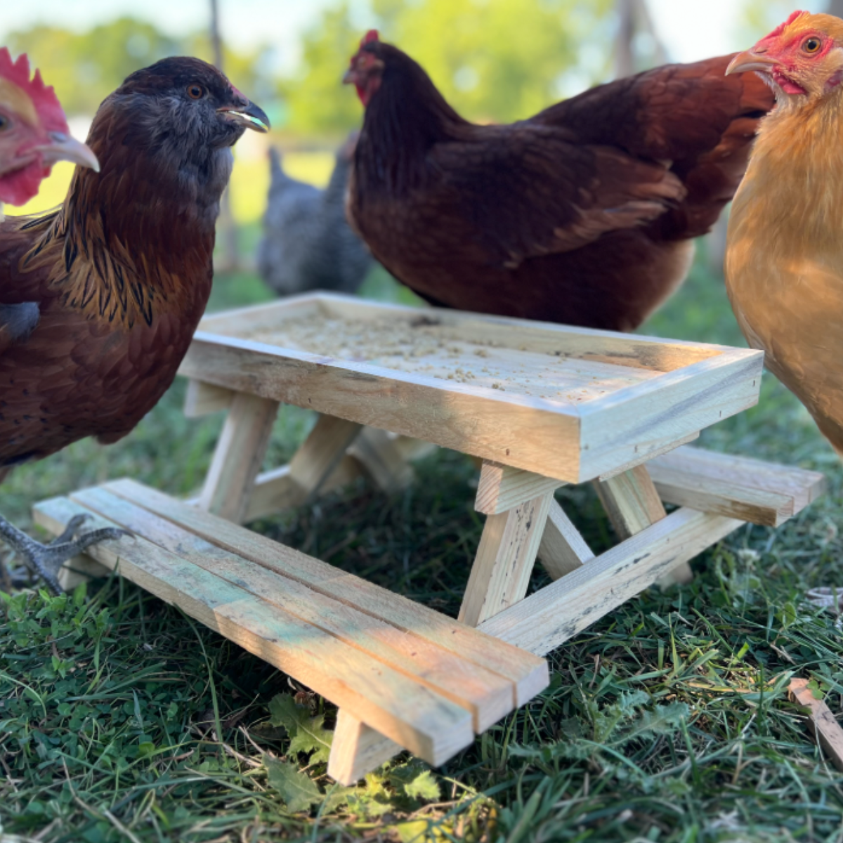 Chick-Nic Table