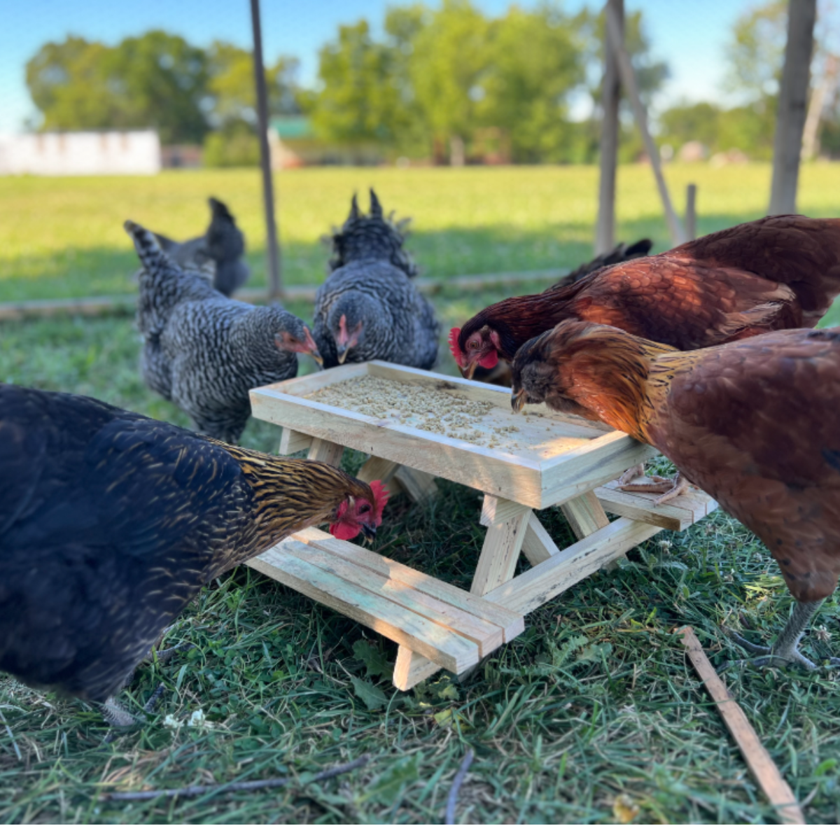 Chick-Nic Table