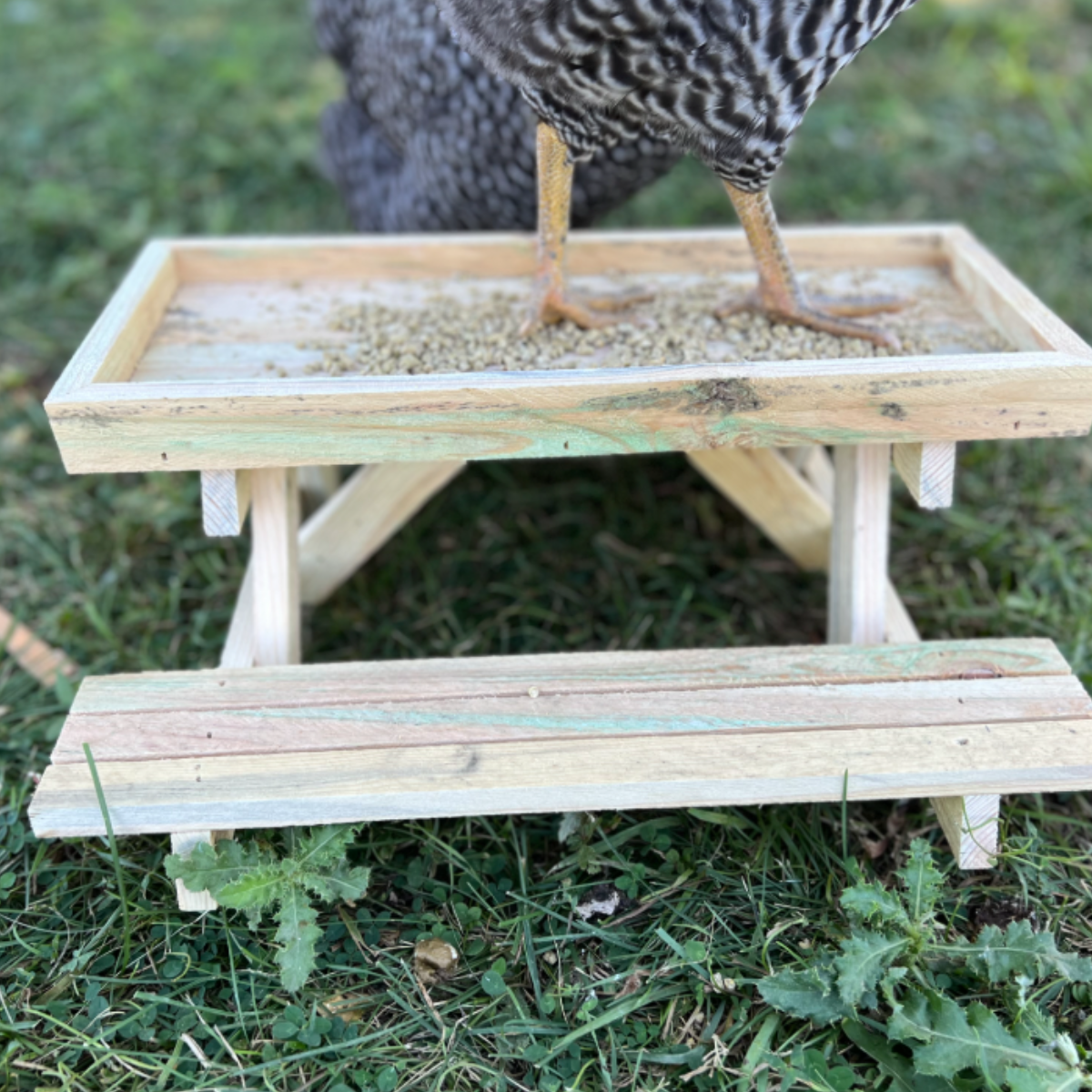 Chick-Nic Table