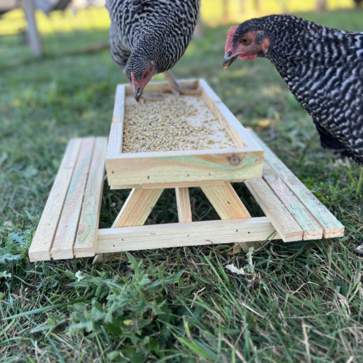 Chick-Nic Table